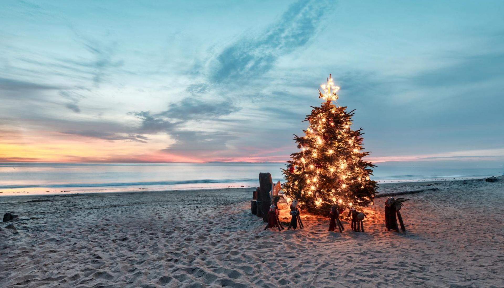 Christmas Traditions by the Sea: Celebrating the Holidays with a Coastal Twist